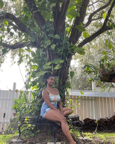 Planterriah