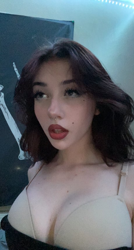 HolyLexx