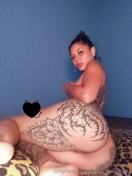 Danielacontenido