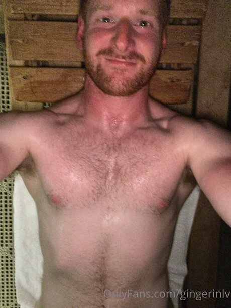 Gingerinlv