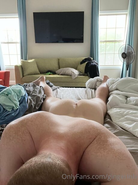 Gingerinlv