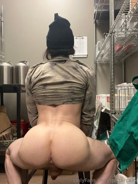 Mistercalix