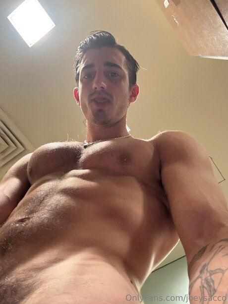 Joeysacco
