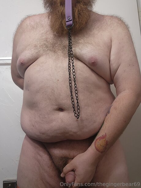 Thegingerbear69