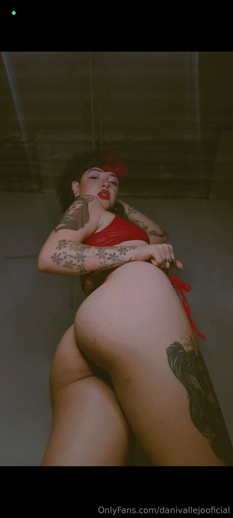 Danivallejooficial