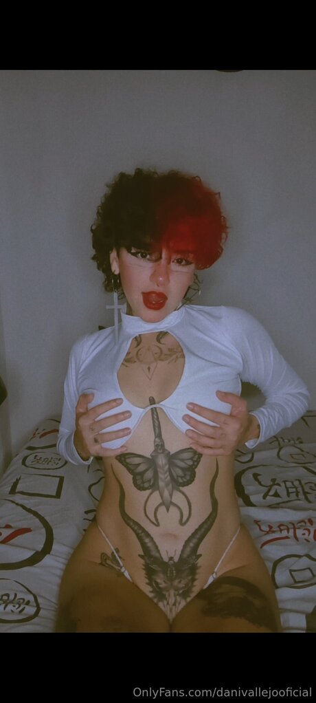 Danivallejooficial