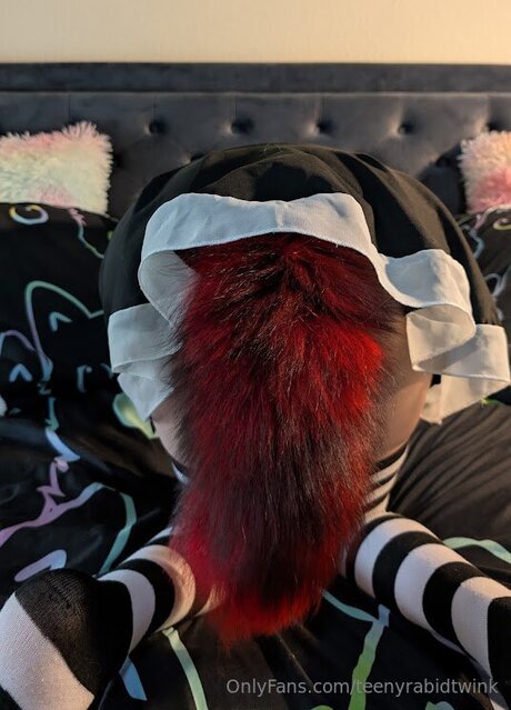 Teenyrabidtwink