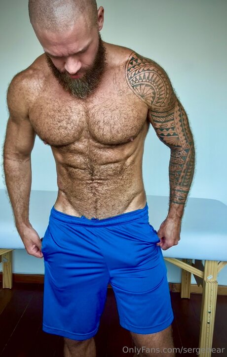 Sergebear