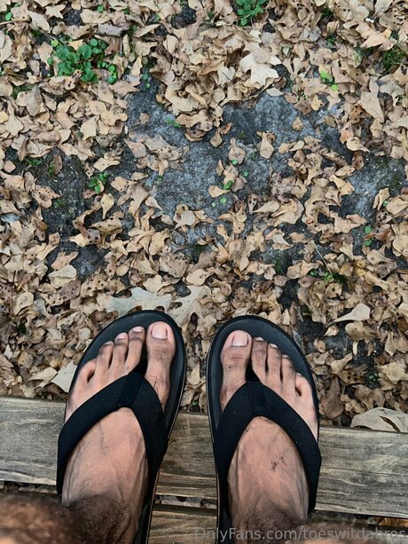 Toeswitdabros