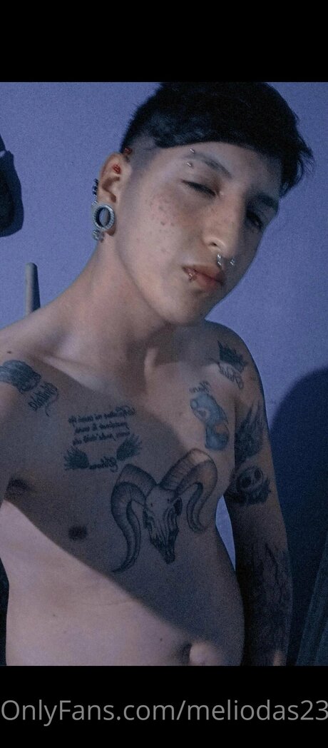 Foto di nudo di fuga di OnlyFans di Meliodas2309