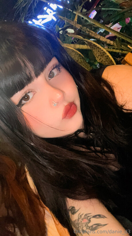 Danie D3