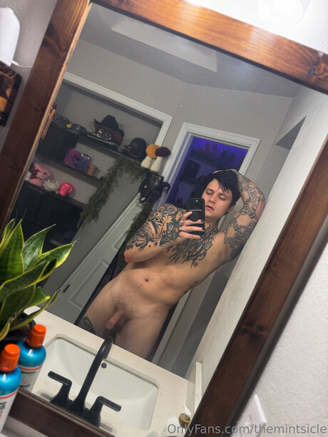 Themintsicle