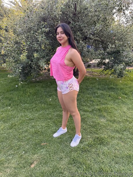 Mishelvega