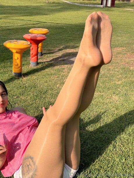 Mishelvega