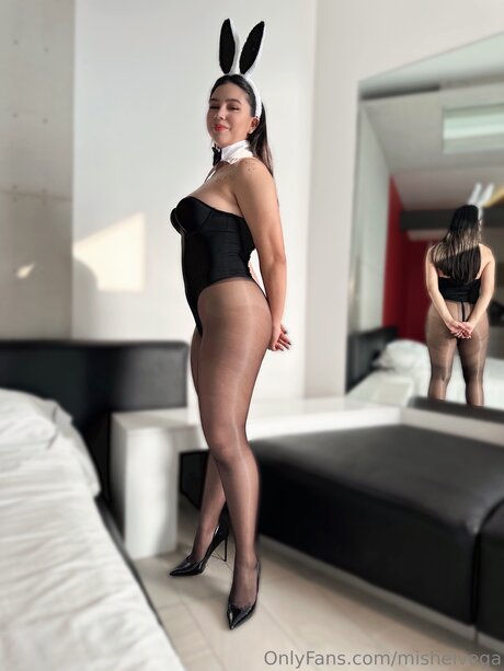 Mishelvega