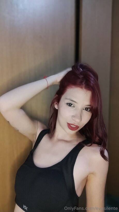 Evasilente