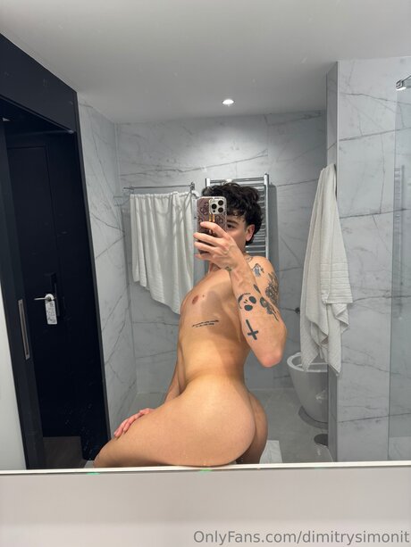 Dimitrysimonit