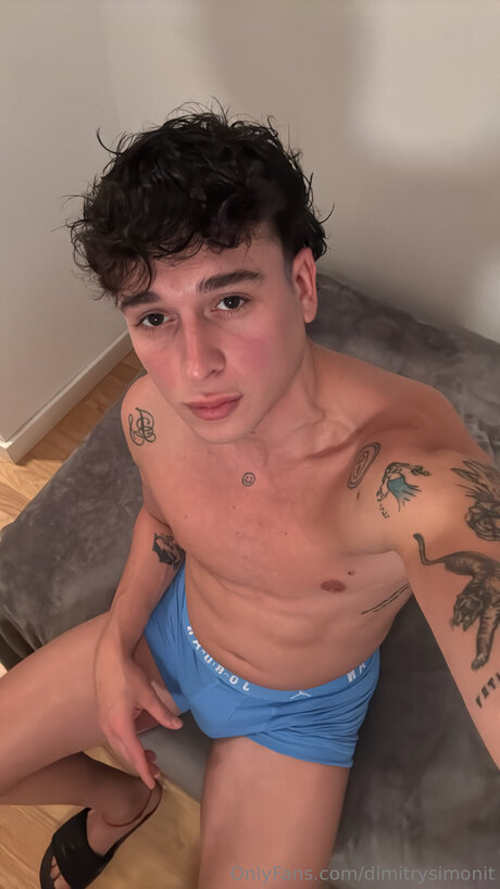 Dimitrysimonit