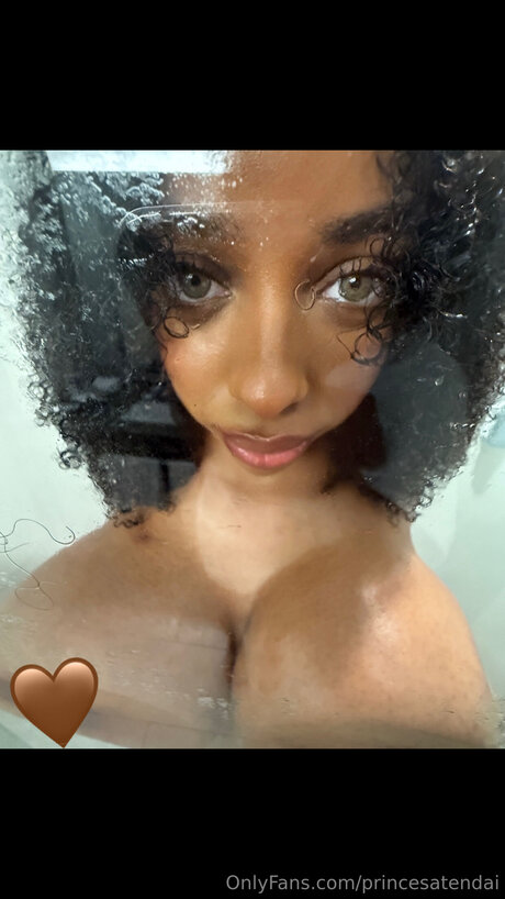 Princesatendai