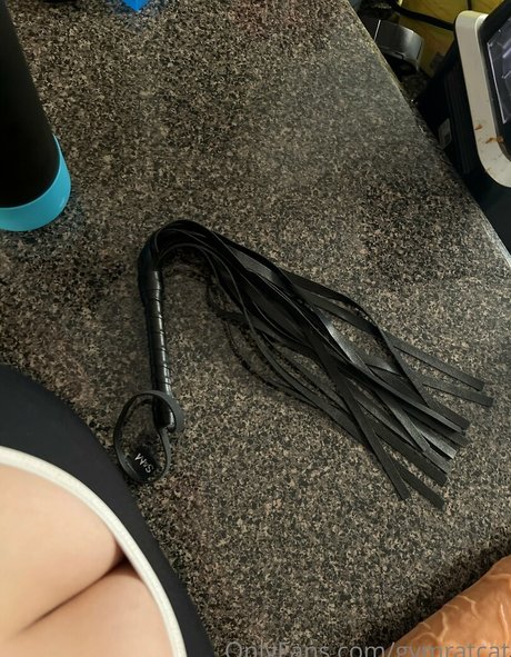 Gymratcat
