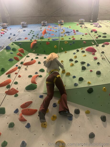Ameliaablossom