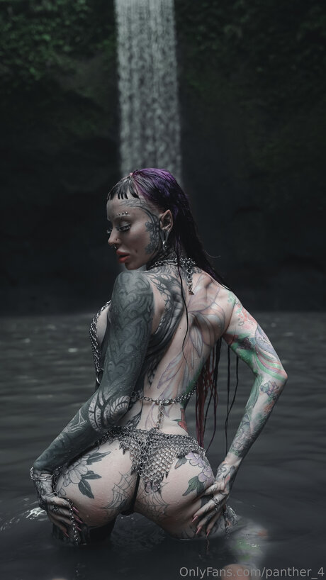 Panther 4