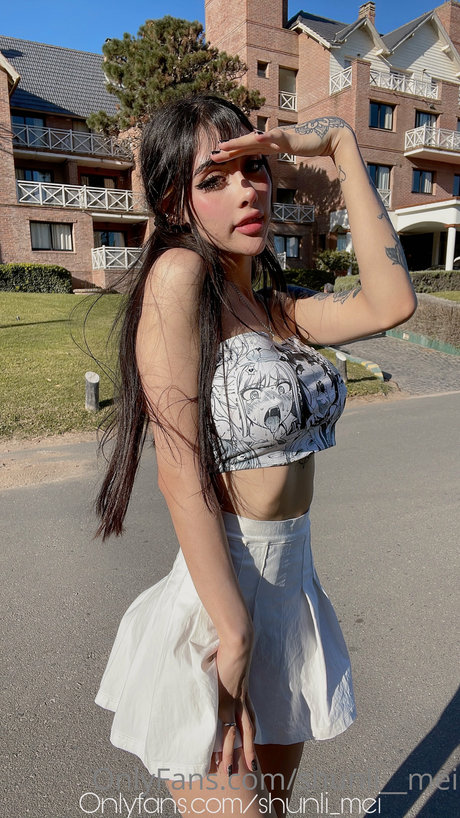 Shunli_mei