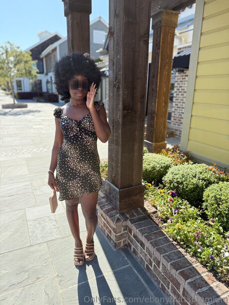 Ebonybuttspremium