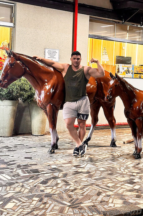 Bighorse777