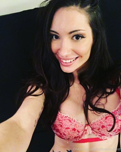 Bellas Toy Chest