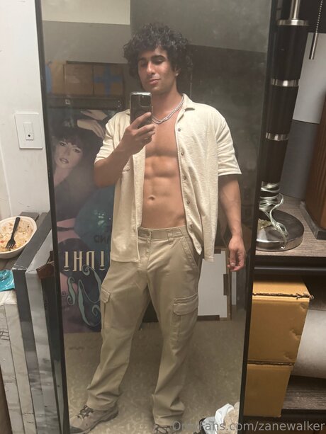 Zanewalker