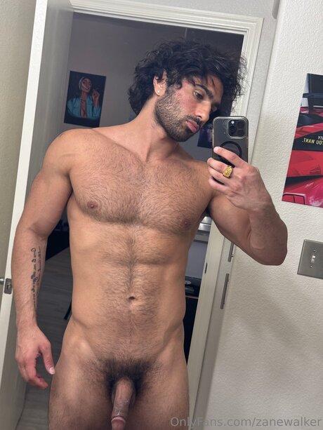Zanewalker