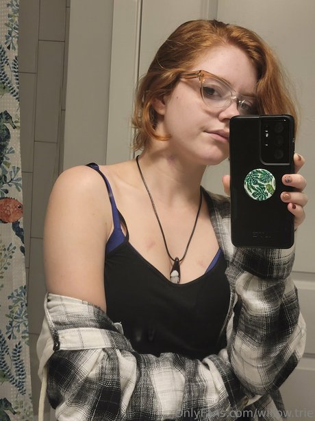Willow Trie