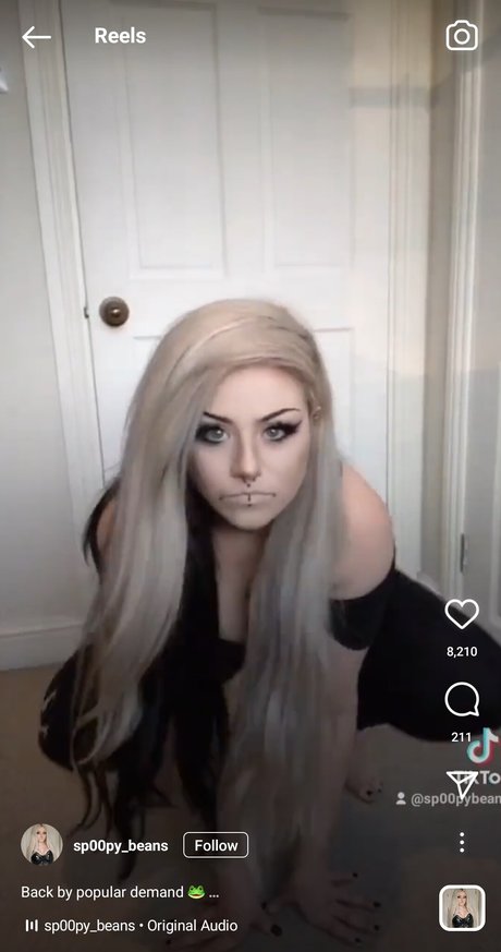 Spoopybeans
