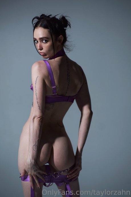 Taylor Zahn