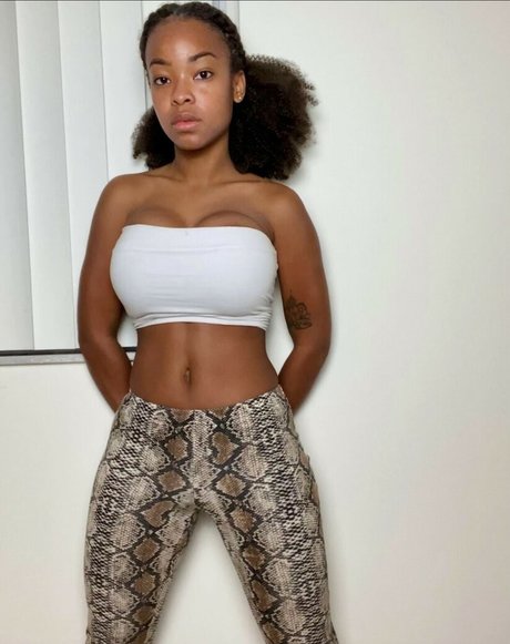 Zuribellarose