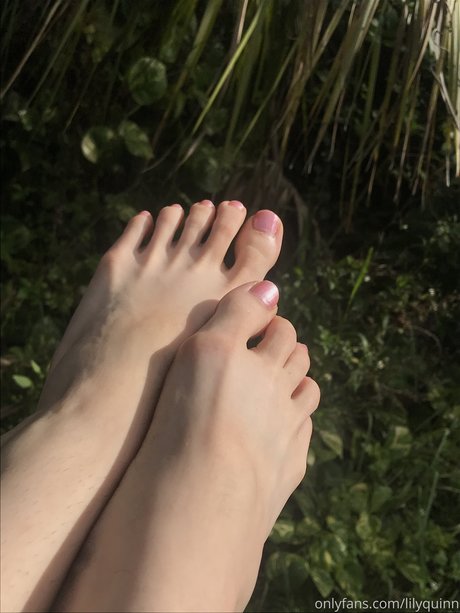 Lily Quinn