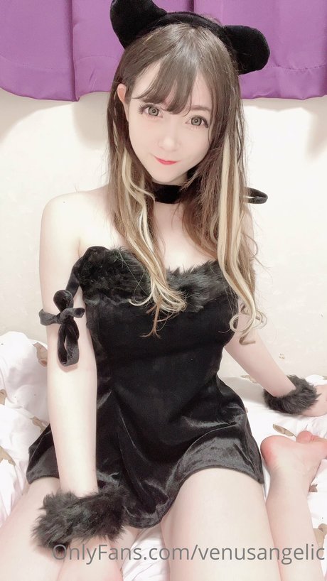 Venus Angelic