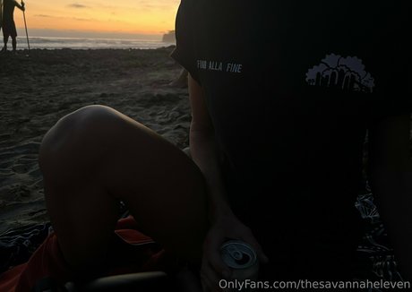 Thesavannaheleven