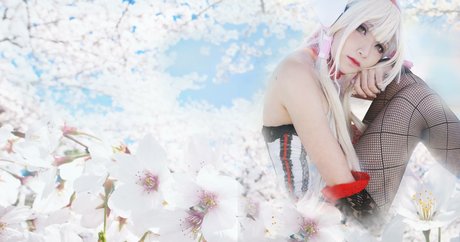 Hana Bunny