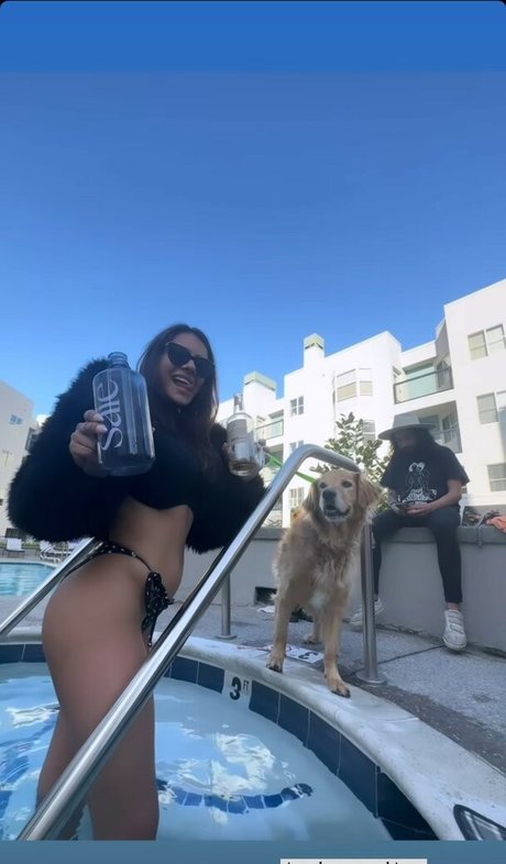 Noheli 