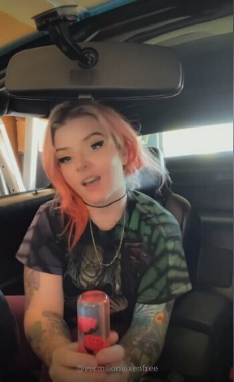 Vermilionvixenfree