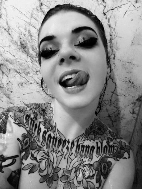 Vermilionvixenfree