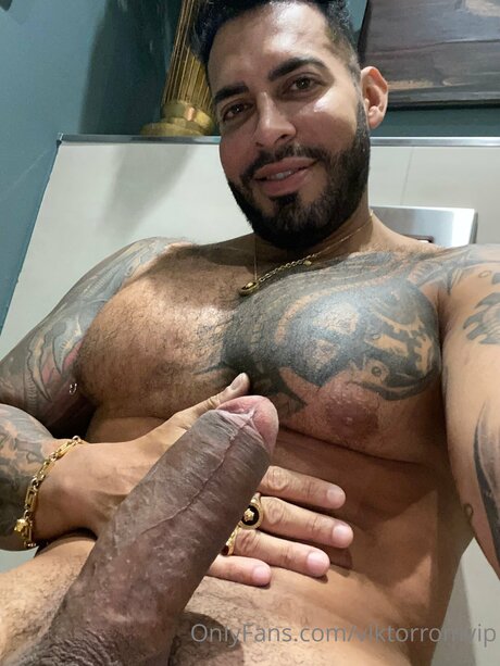 Viktorromvip