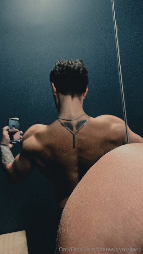 Therealgymshark