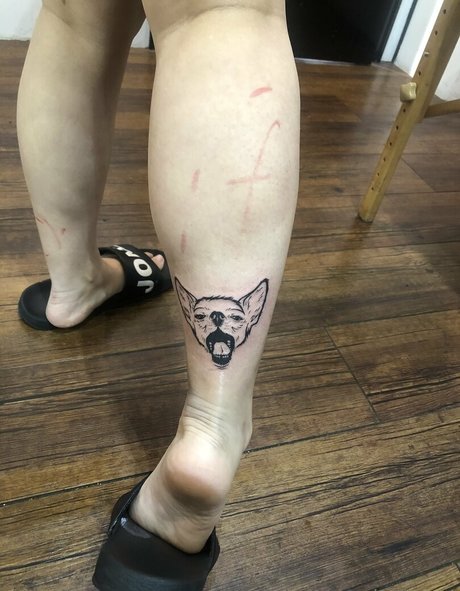 Pchan666