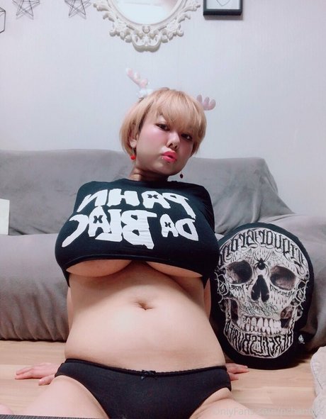 Pchan666