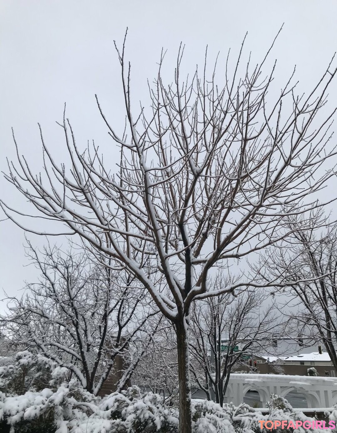 Foto di nudo di fuga di OnlyFans di Tomiko1 #2