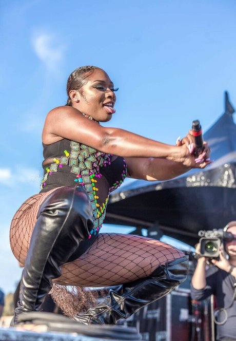 Nahá fotka uniklých OnlyFans od Megan Thee Stallion