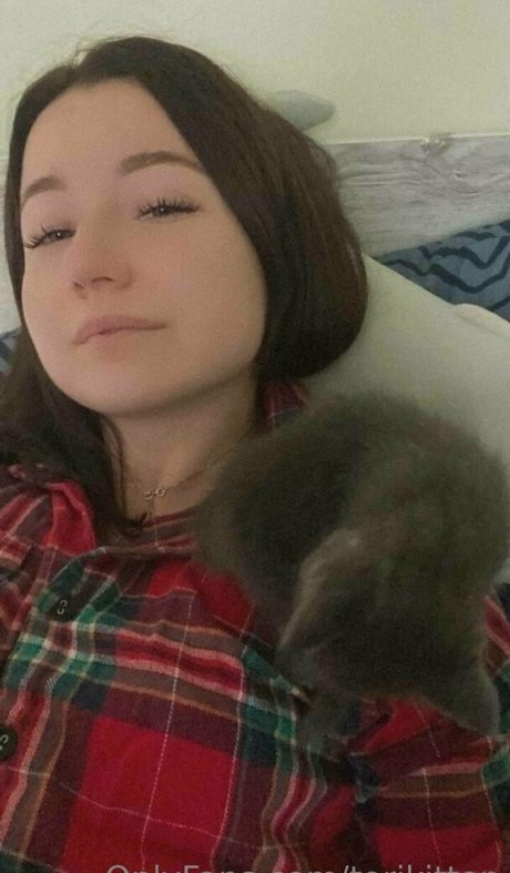 Torikitten